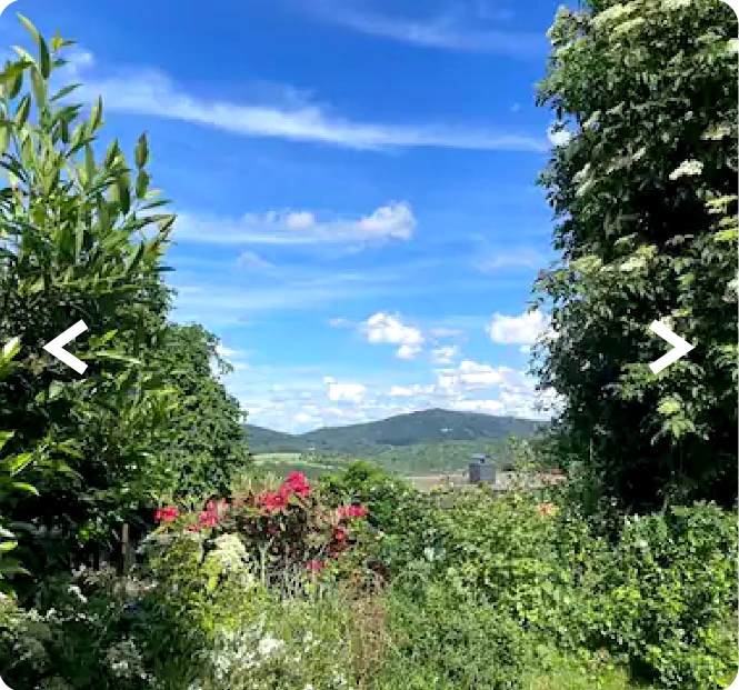 Ausblick über Gärten auf die Stadt Eppstein und die Taunus-Hügel